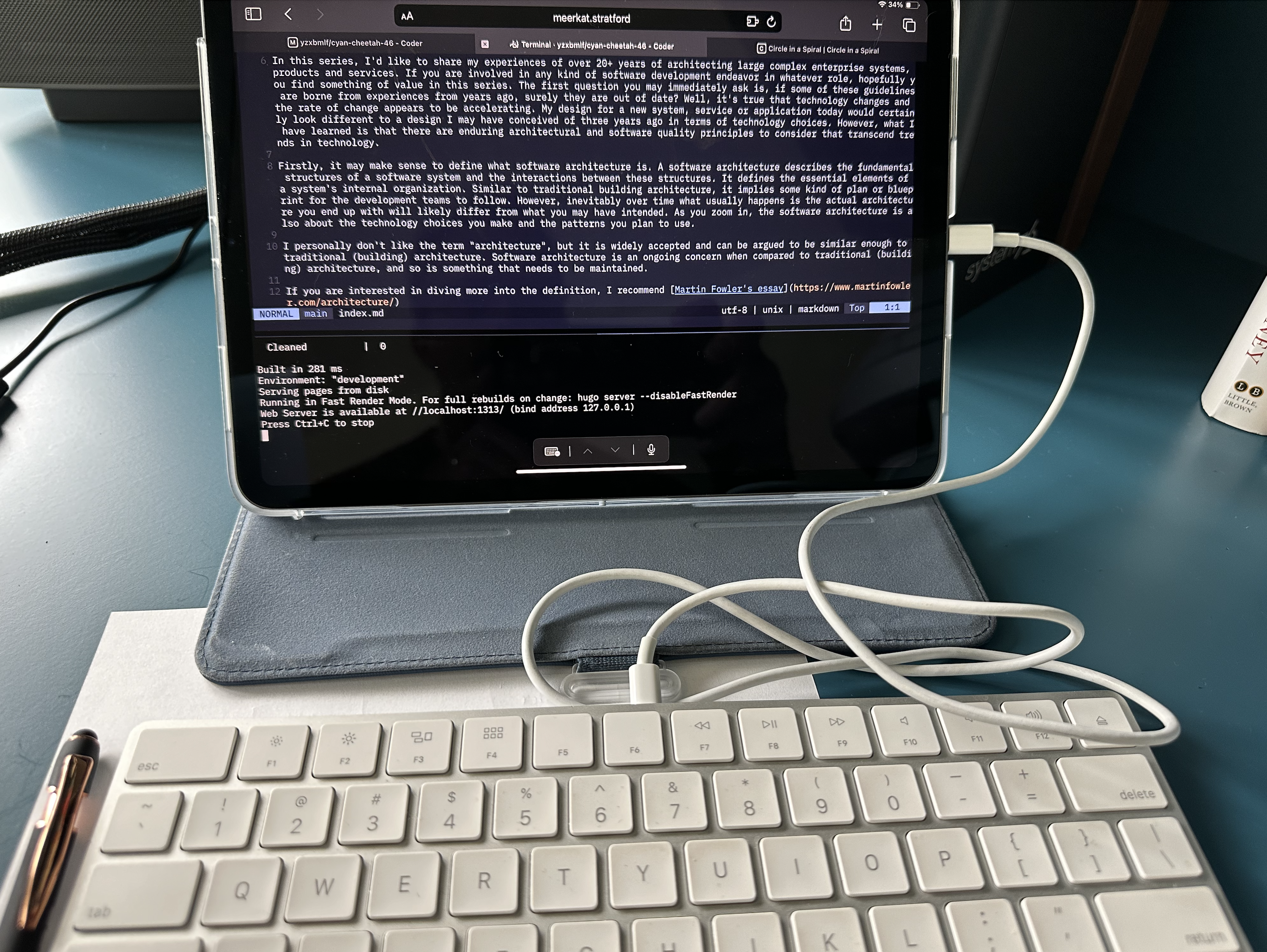Figure 1 — Neovim and tmux.. On an iPad.. What in the world?